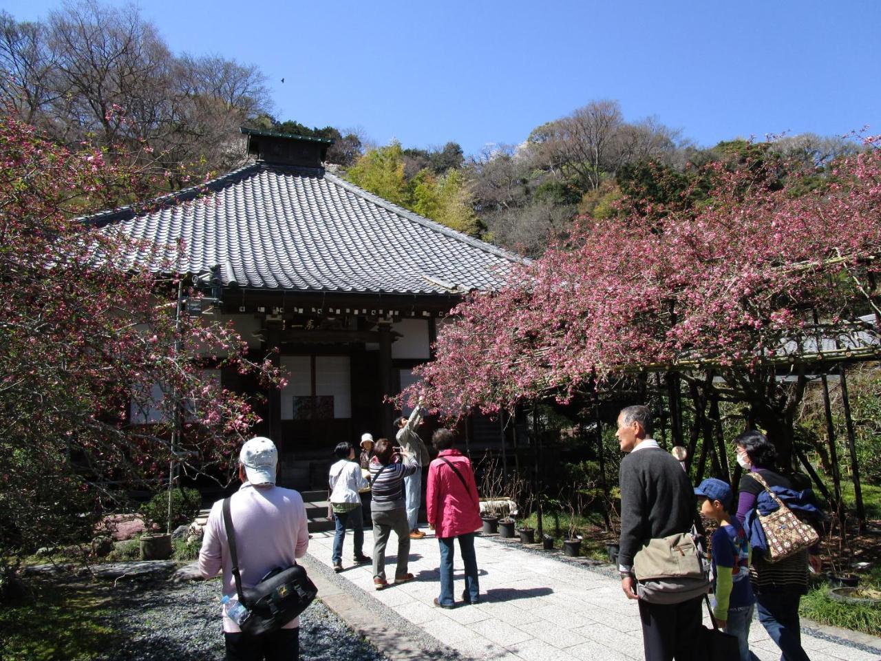 Kamakura Central Guest House Exterior photo